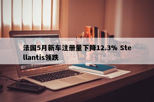 法国5月新车注册量下降12.3% Stellantis领跌