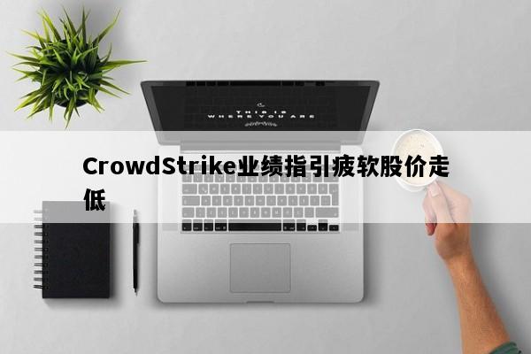 CrowdStrike业绩指引疲软股价走低