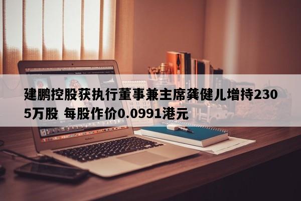 建鹏控股获执行董事兼主席龚健儿增持2305万股 每股作价0.0991港元