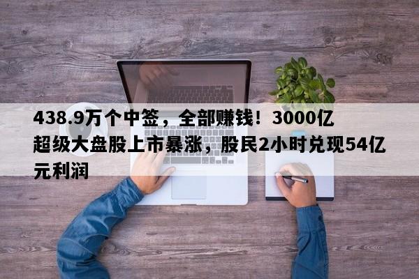 438.9万个中签，全部赚钱！3000亿超级大盘股上市暴涨，股民2小时兑现54亿元利润