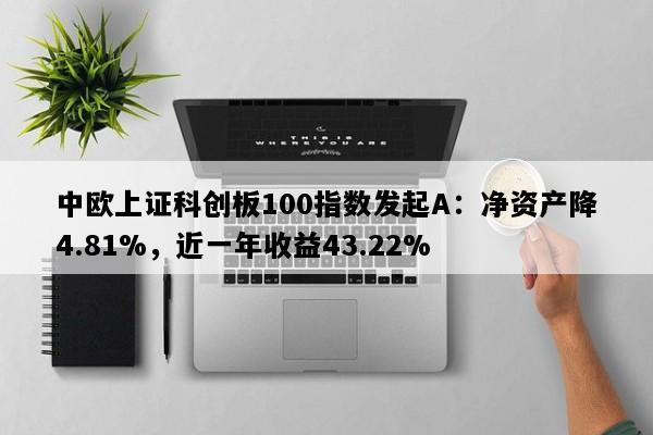 中欧上证科创板100指数发起A：净资产降4.81%，近一年收益43.22%