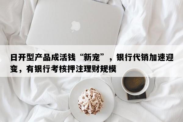 日开型产品成活钱“新宠”，银行代销加速迎变，有银行考核押注理财规模