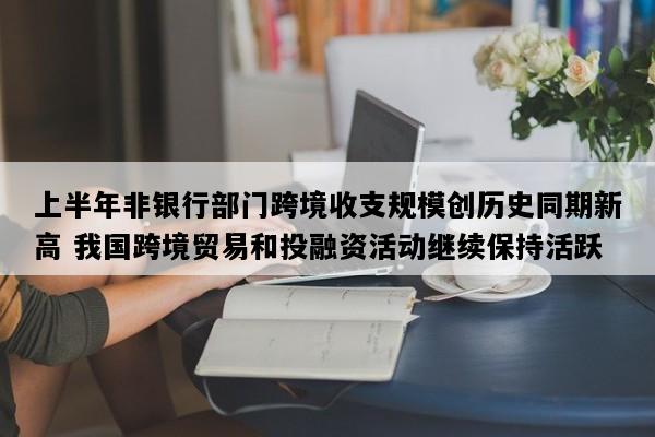 上半年非银行部门跨境收支规模创历史同期新高 我国跨境贸易和投融资活动继续保持活跃