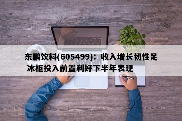 东鹏饮料(605499)：收入增长韧性足 冰柜投入前置利好下半年表现