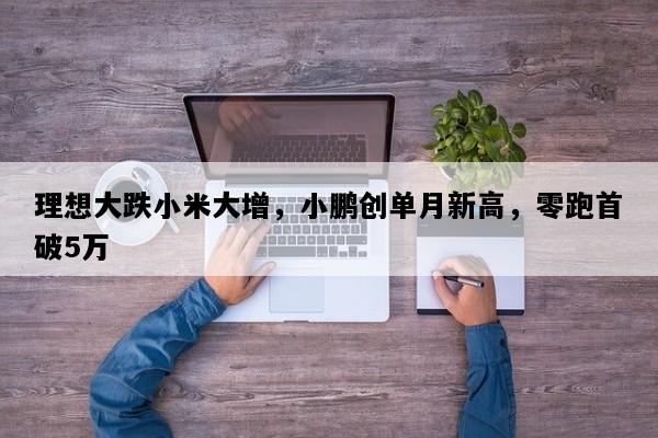 理想大跌小米大增，小鹏创单月新高，零跑首破5万