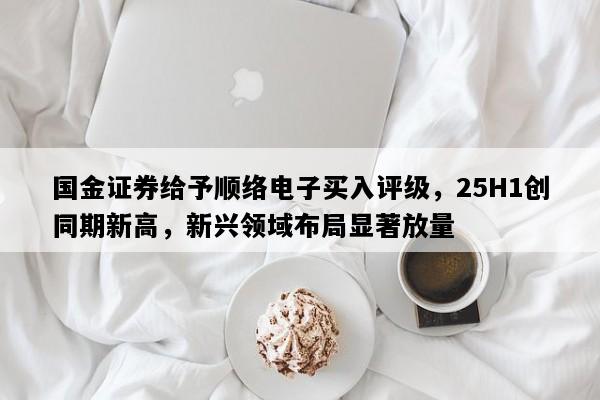国金证券给予顺络电子买入评级，25H1创同期新高，新兴领域布局显著放量
