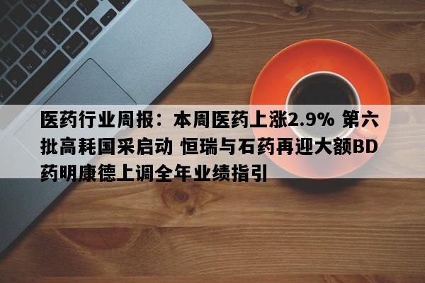 医药行业周报：本周医药上涨2.9% 第六批高耗国采启动 恒瑞与石药再迎大额BD 药明康德上调全年业绩指引