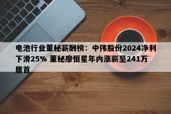 电池行业董秘薪酬榜：中伟股份2024净利下滑25% 董秘廖恒星年内涨薪至241万居首