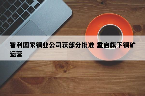 智利国家铜业公司获部分批准 重启旗下铜矿运营