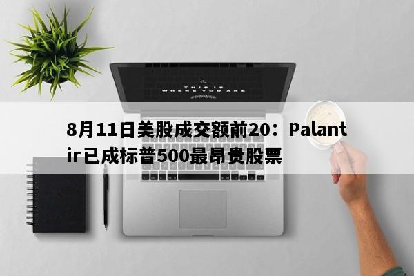 8月11日美股成交额前20：Palantir已成标普500最昂贵股票