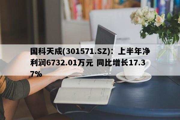 国科天成(301571.SZ)：上半年净利润6732.01万元 同比增长17.37%