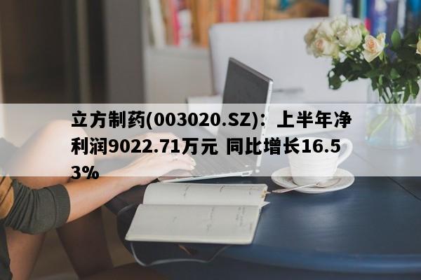 立方制药(003020.SZ)：上半年净利润9022.71万元 同比增长16.53%