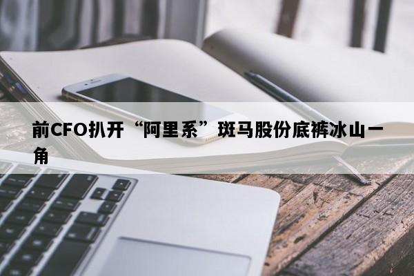 前CFO扒开“阿里系”斑马股份底裤冰山一角