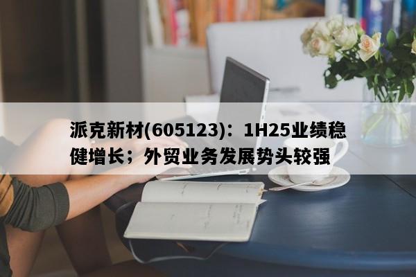 派克新材(605123)：1H25业绩稳健增长；外贸业务发展势头较强