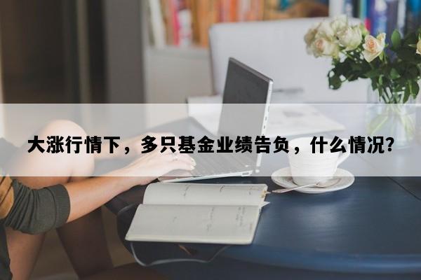 大涨行情下，多只基金业绩告负，什么情况？
