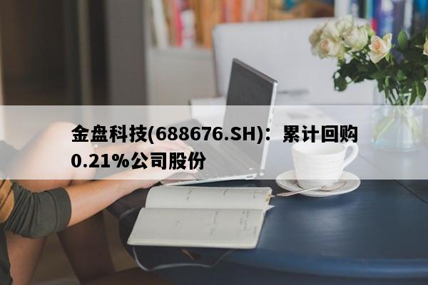 金盘科技(688676.SH)：累计回购0.21%公司股份