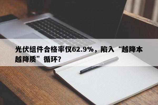 光伏组件合格率仅62.9%，陷入“越降本越降质”循环？
