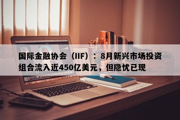 国际金融协会（IIF）：8月新兴市场投资组合流入近450亿美元，但隐忧已现
