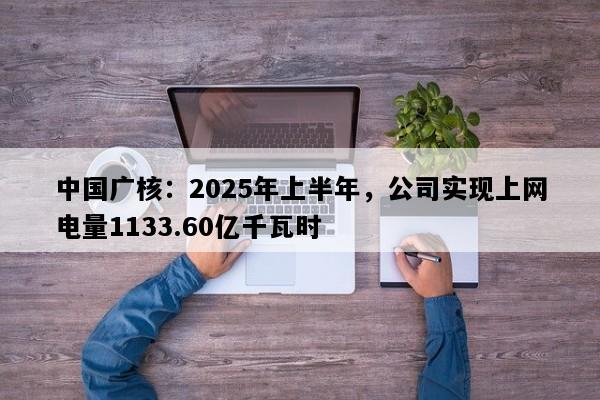 中国广核：2025年上半年，公司实现上网电量1133.60亿千瓦时